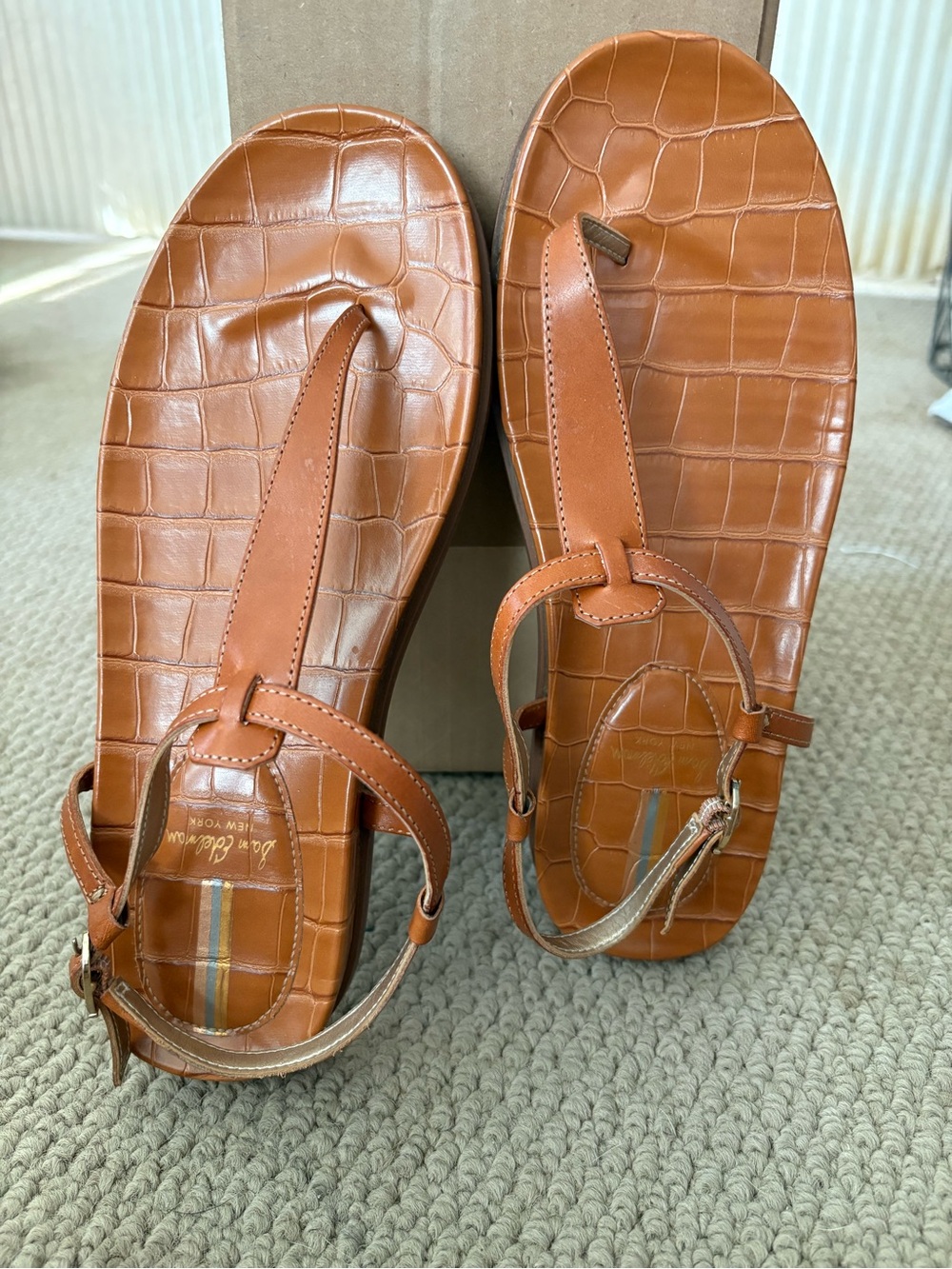 Sam Edelman Thong Strap Sandal